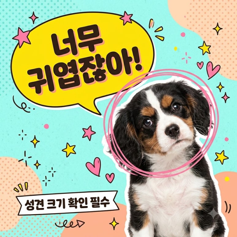 원문 이미지 1