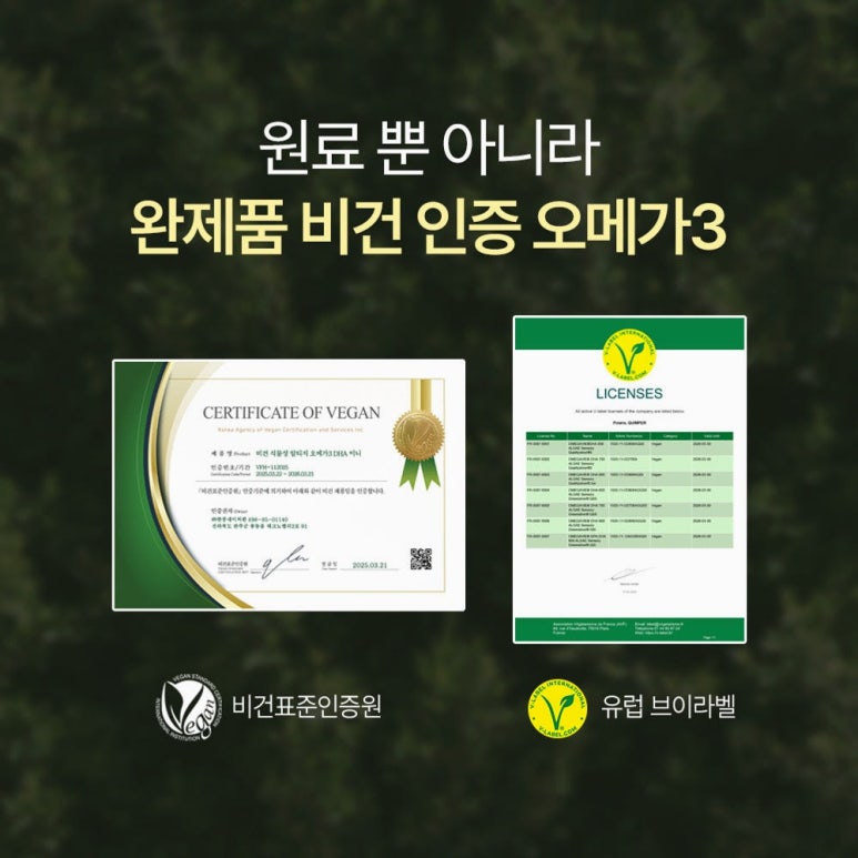 원문 이미지 4