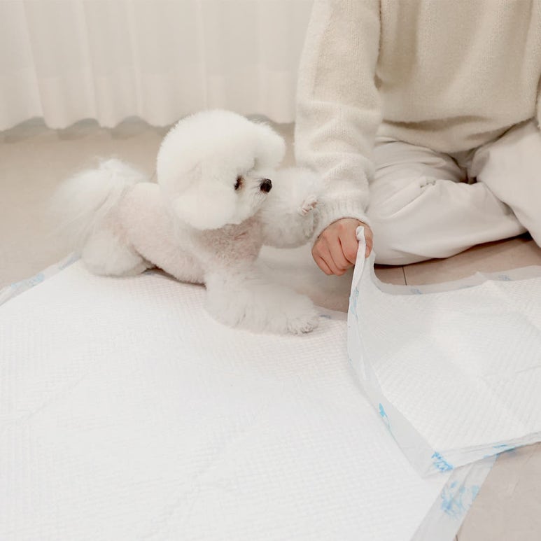 원문 이미지 5
