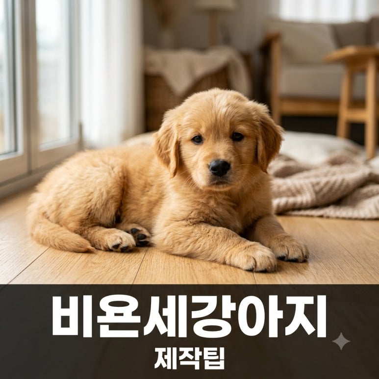 원문 이미지 1