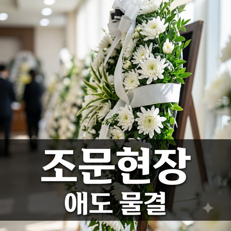 원문 이미지 1