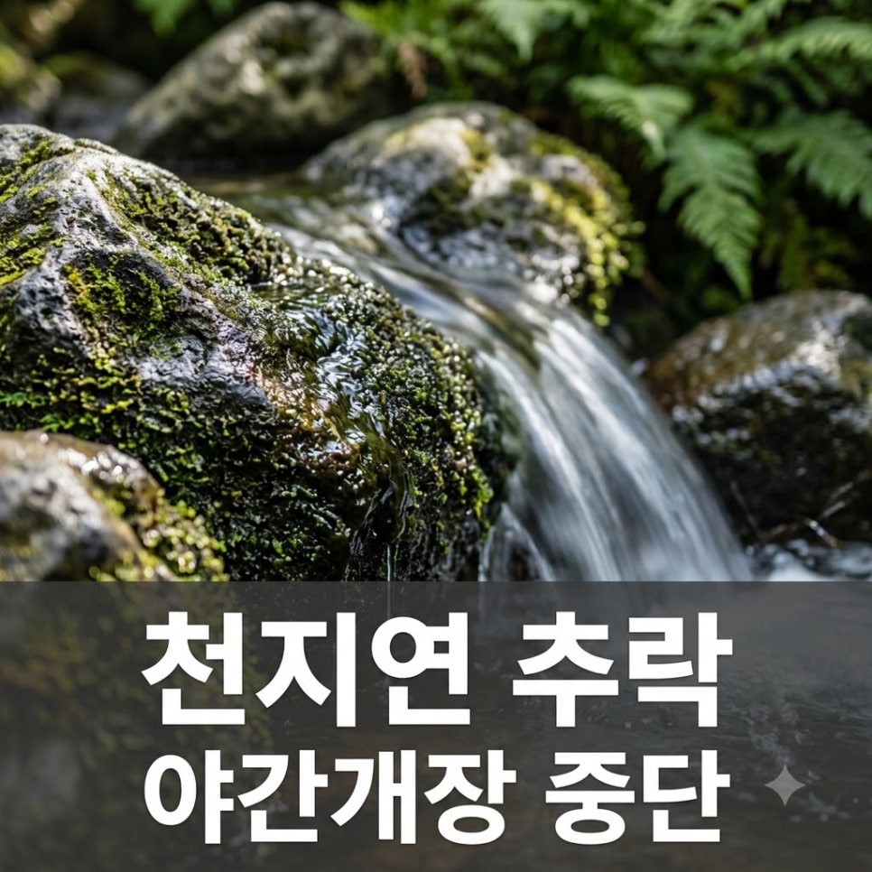 원문 이미지 1