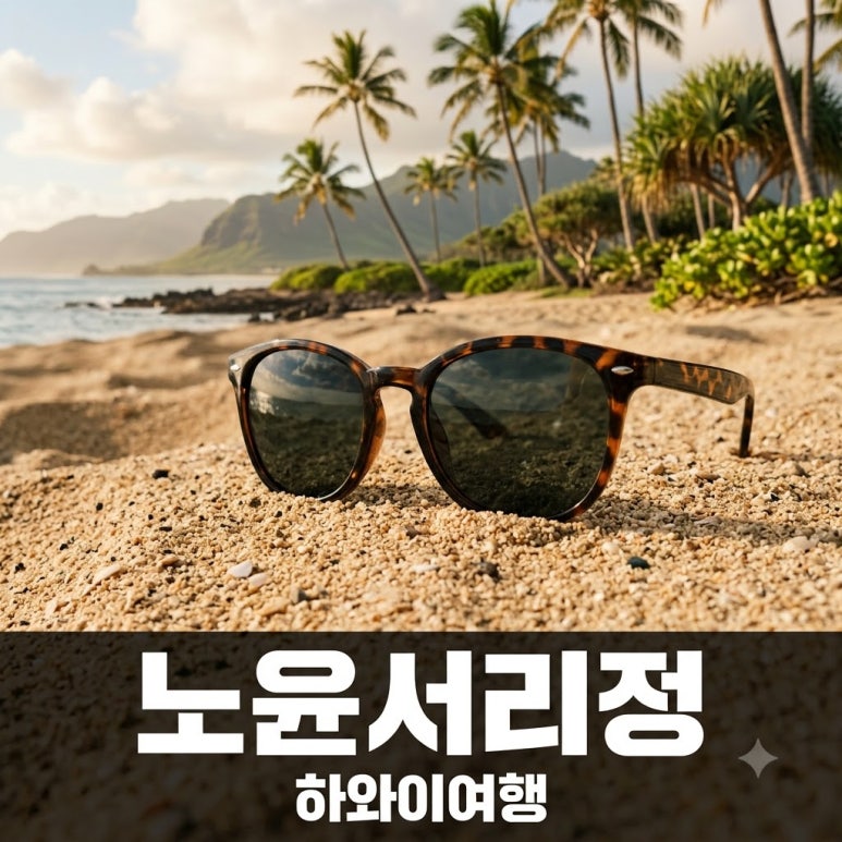 원문 이미지 1