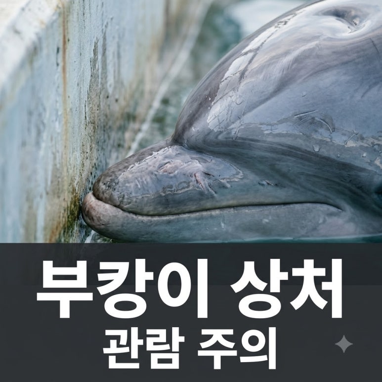 원문 이미지 1