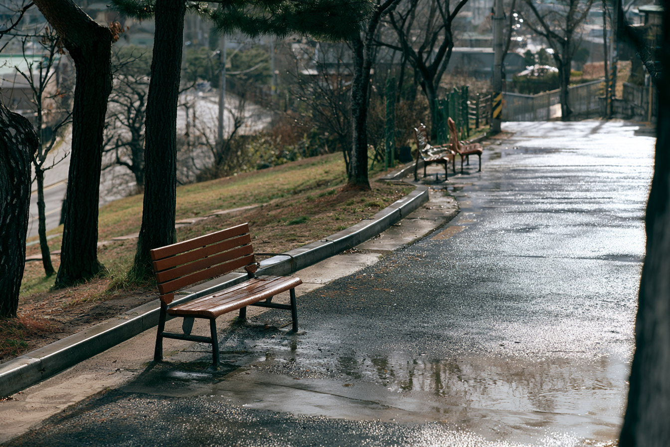 공휴일과 대체휴일 확인할 때 보는 달력 기준, 언제 바뀌나 관련 이미지 4